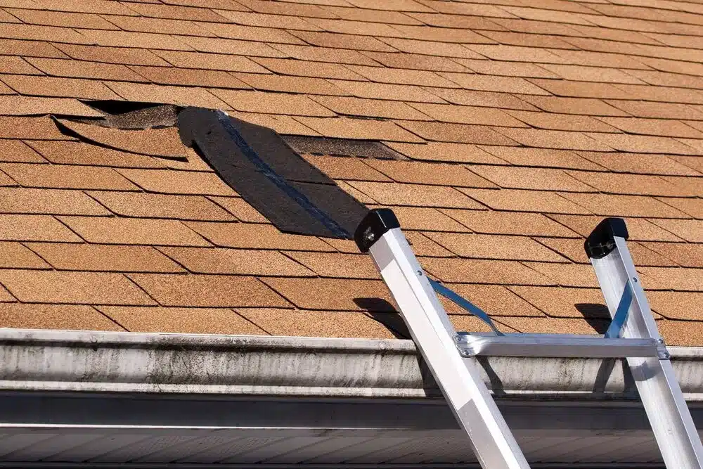 roof leak detection and repair