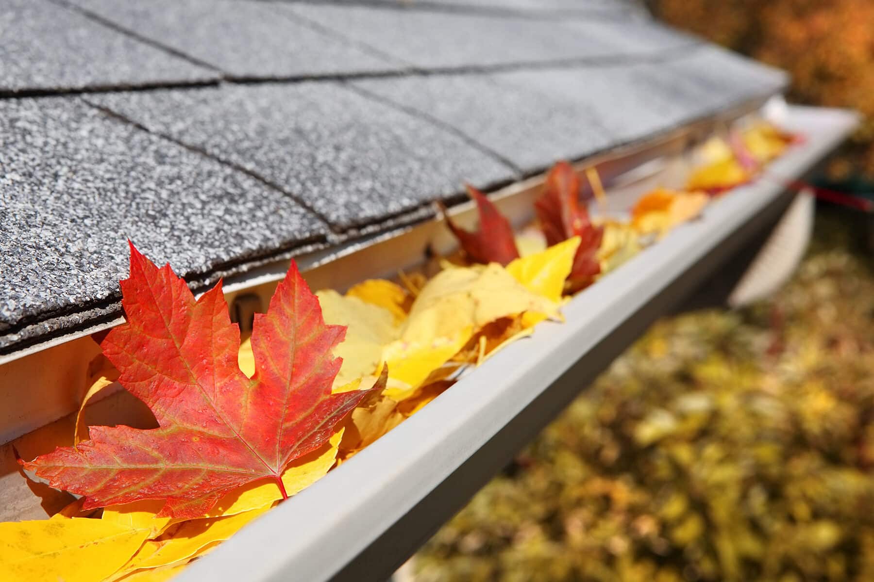 Gutter Cleaning in Ottawa: A Necessary Tasks for Every Homeowner